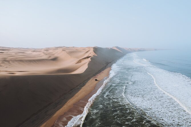 Mola Mola Marine Dune Experience - Oysters, snacks, and a useful break between excursions