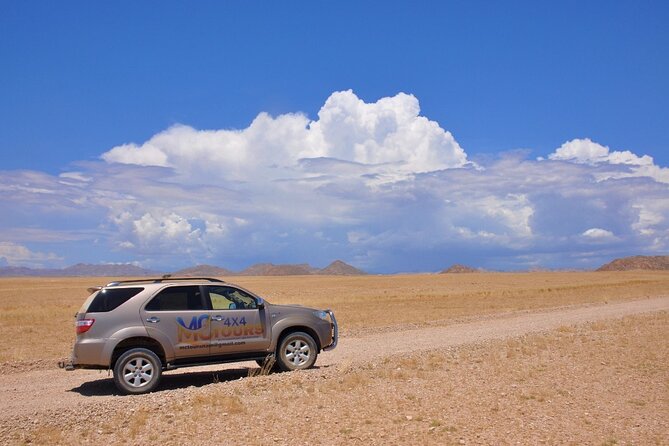 Namib Desert Landscape Tour - Key points to know before booking