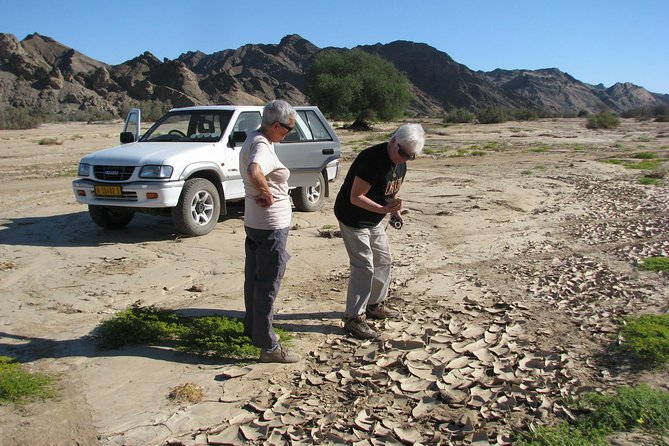 NAMIB DESERT TOURS, Full-Day and Half-Day Tours from Swakopmund, Namibia - Finishing among the shifting dunes