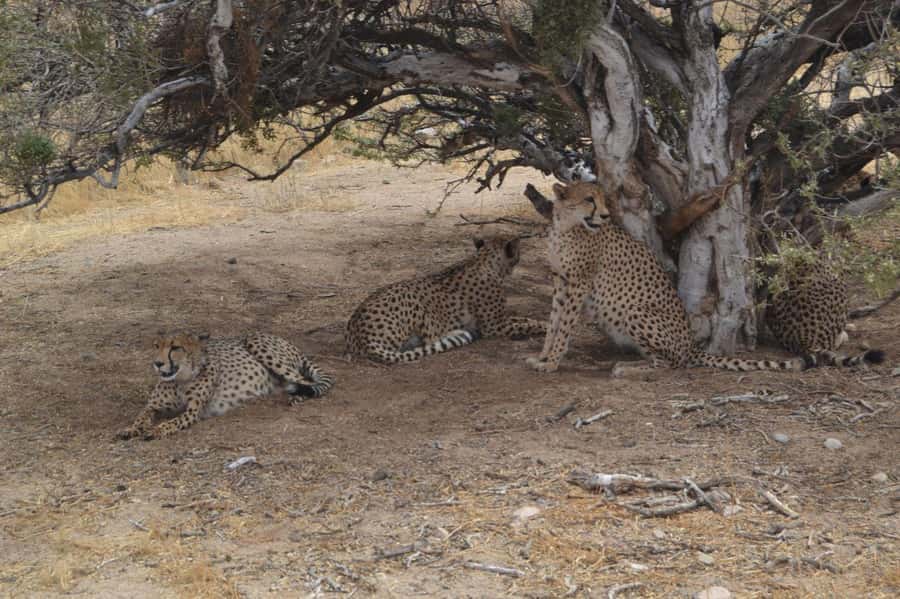 Namib Naukluft Park Trip - The Caves of the Two German Soldiers