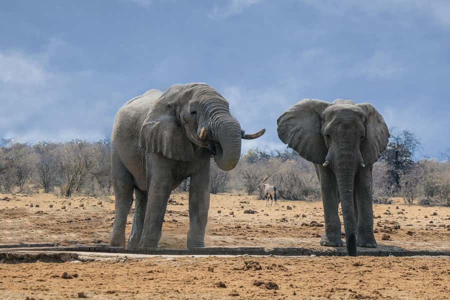 Namibia: 10-Days - Key points at a glance