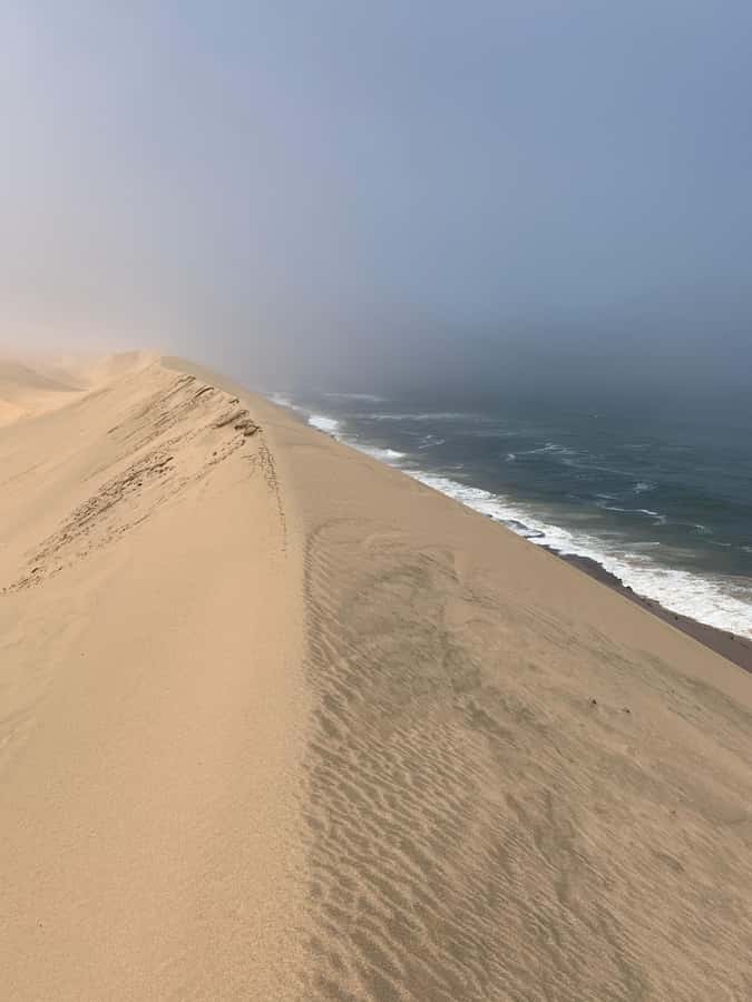 Namibia; Classic Sandwich Harbour Tour - Key things to know before booking
