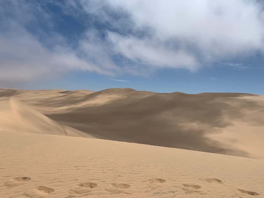 Namibia; Classic Sandwich Harbour Tour - Why Sandwich Harbour is worth your day
