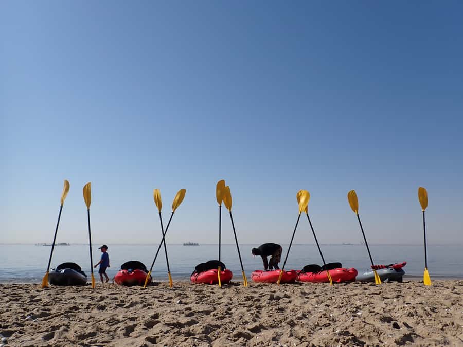 Pelican Point: Kayak with Seals Experience - Landing at Pelican Point Beach