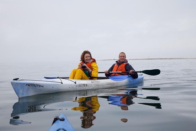Pelican Point Kayaking Half-Day Tour - Starting at 8:00 am beside Walvis Bay Waterfront