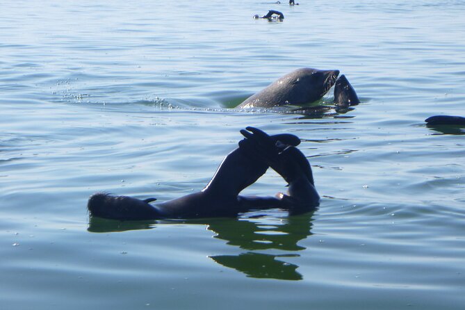 Pelican Point Kayaking Half-Day Tour - The 4x4 drive across lagoon and salt works