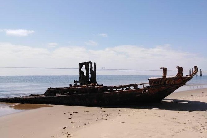 Pelican Point Seal Colony 4x4 Tour - Why the guides matter