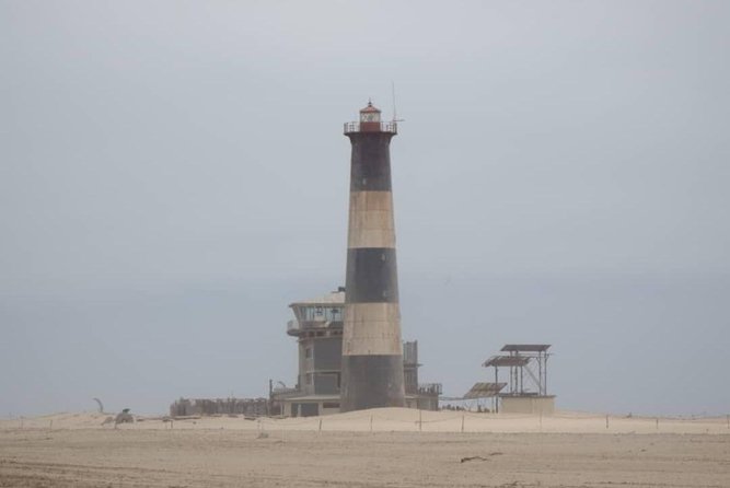 Pelican Point Seal Colony 4x4 Tour - Snacks, drinks, and the three-hour format