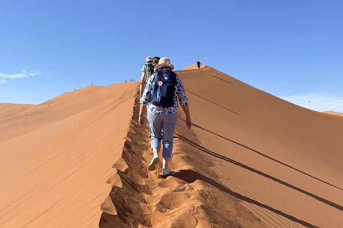 Pelican Point tours,Lagoon tours, Dune7 Adventure - Pink Lake and the changing colors of the coast