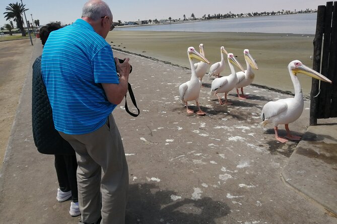 Pelican Point tours,Lagoon tours, Dune7 Adventure - Climbing Dune 7, Namibia’s big sand challenge