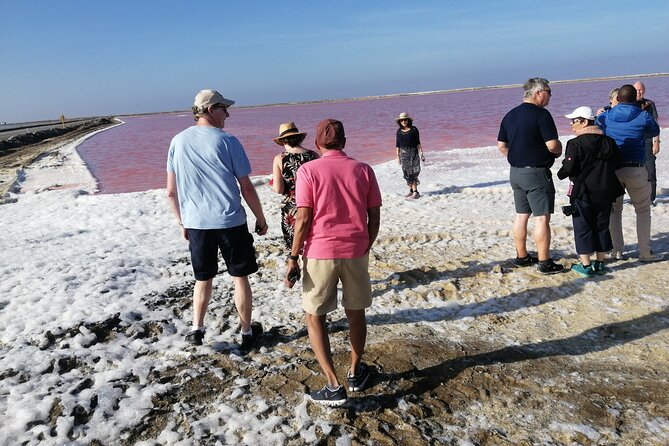 Pelican Point tours,Lagoon tours, Dune7 Adventure - Day two through the Namib and Walvis Bay’s local stops
