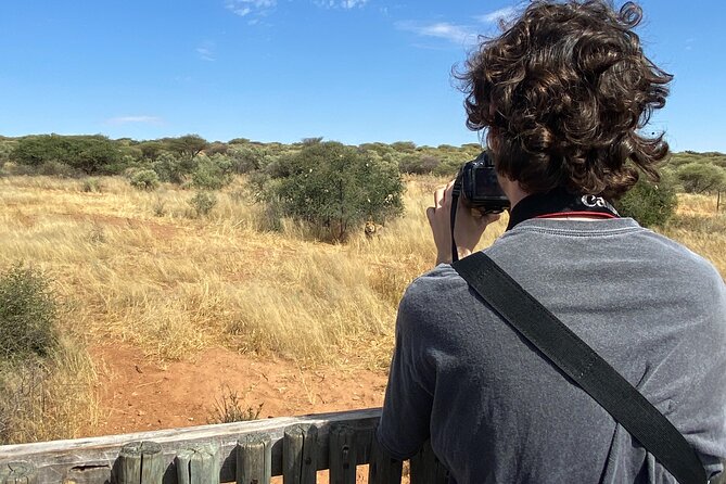 Predator Encounter: Half-Day Carnivore Feeding Windhoek - What the Naankuse carnivore experience is really about