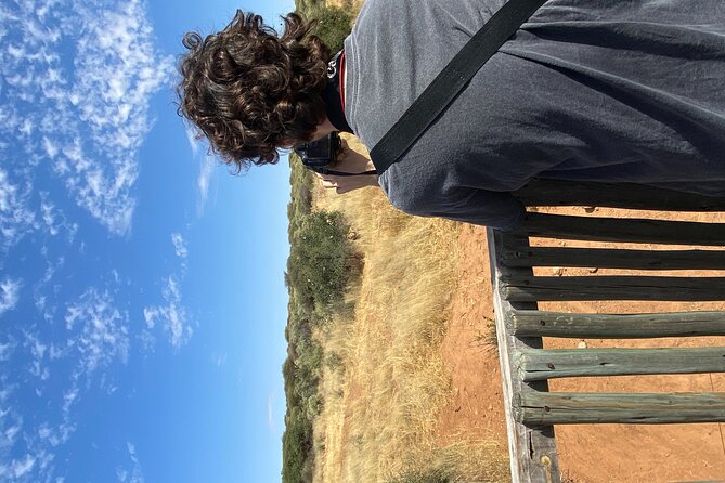Predator Encounter: Half-Day Carnivore Feeding Windhoek - The scenic drive after the animals