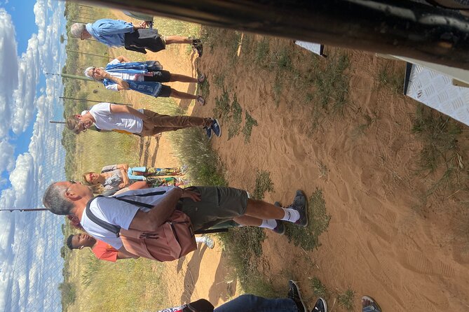 Predator Encounter: Half-Day Carnivore Feeding Windhoek - Is $170.92 good value?