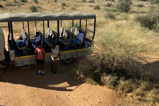 Predator Encounter: Half-Day Carnivore Feeding Windhoek - Leaving Windhoek at 8:00 am