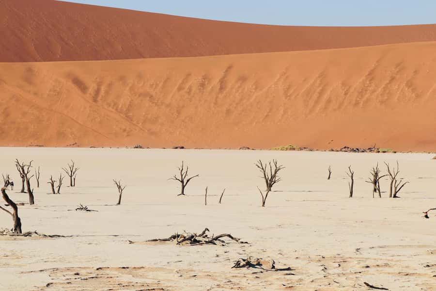 Private 03 Days Amazing Red Dunes of Sossusvlei | Lodge - Why Sossusvlei deserves three days