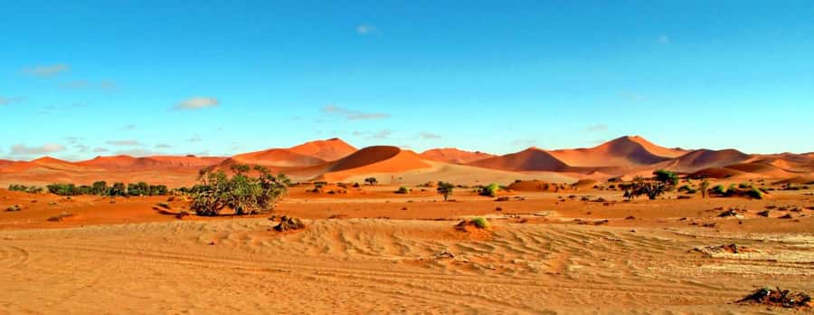 Private 03 Days Amazing Red Dunes of Sossusvlei | Lodge - Deadvlei and the camel thorn trees