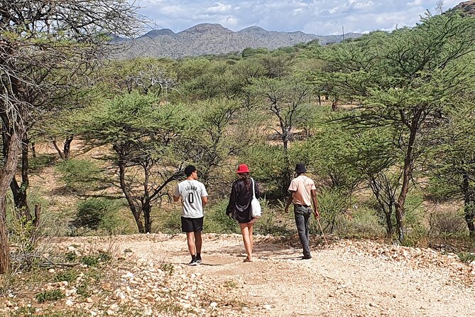 Private Guided Walking Tour with the San in Windhoek - Bush plants as medicine, food, and tools