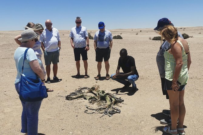 Private Half Day Coast Tour of Walvis Bay and Swakopmund City - Key points to know before booking