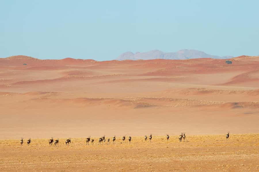 Private Sandwich Harbour 4x4 Tour with Lunch - Walvis Bay - A picnic lunch in the dunes