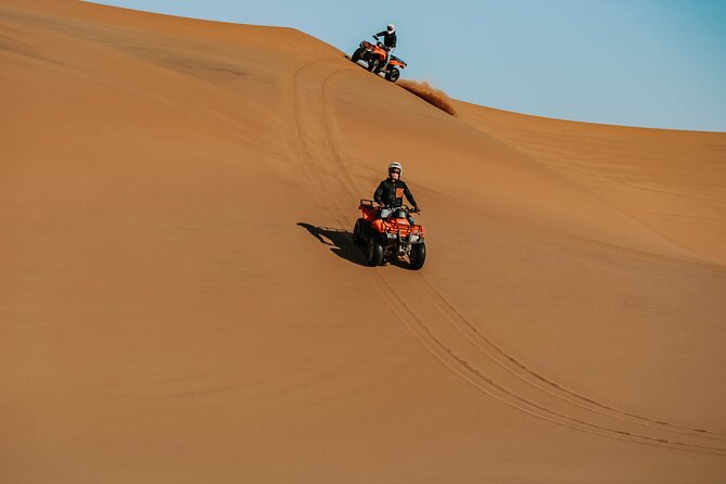 Quad Bike Tour (1 hour) - A gentle start for first-time quad riders