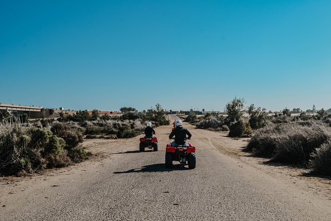 Quad Bike Tour (2 hours) - Is it suitable for children and mixed abilities?
