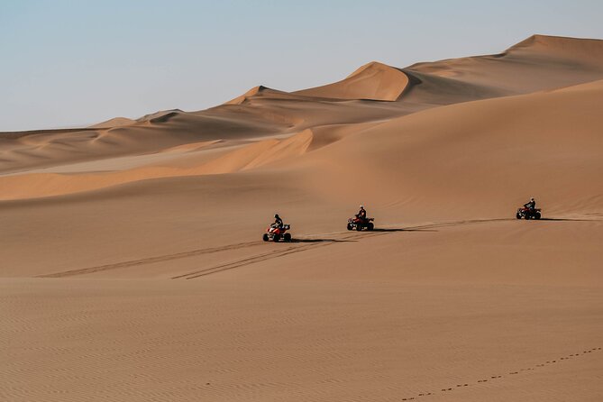 Quad Bike Tour (90min) - The value of $39.30 per person