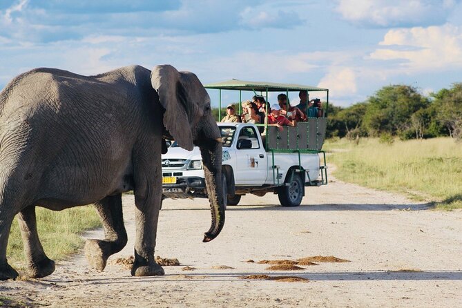 Safari in Etosha national park with professional tour guides born in Etosha. - Quick points about the Etosha safari