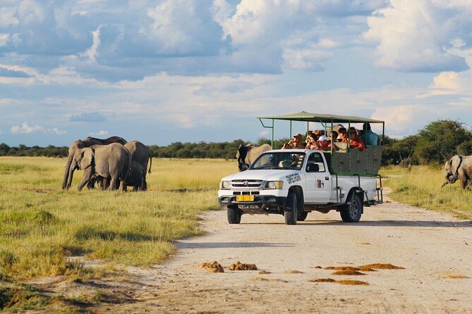 Safari in Etosha national park with professional tour guides born in Etosha. - The Etosha Pan stop
