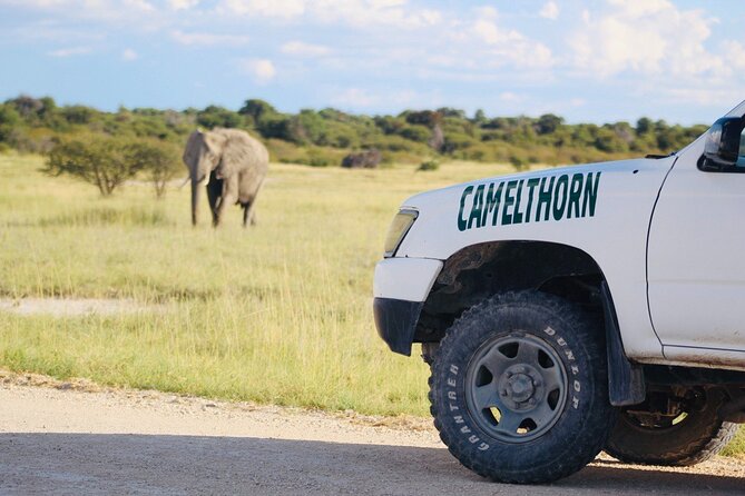 Safari in Etosha national park with professional tour guides born in Etosha. - Who will enjoy this Etosha experience