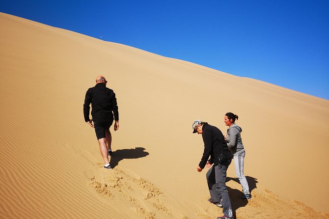 Sandwhich Harbour Dune 4x4 Half day - Is $150.32 good value?