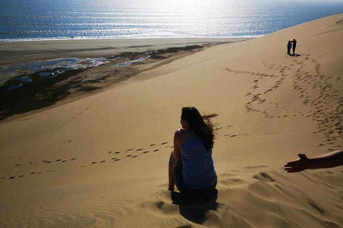Sandwhich Harbour Dune 4x4 Half day - From wetland to open sand