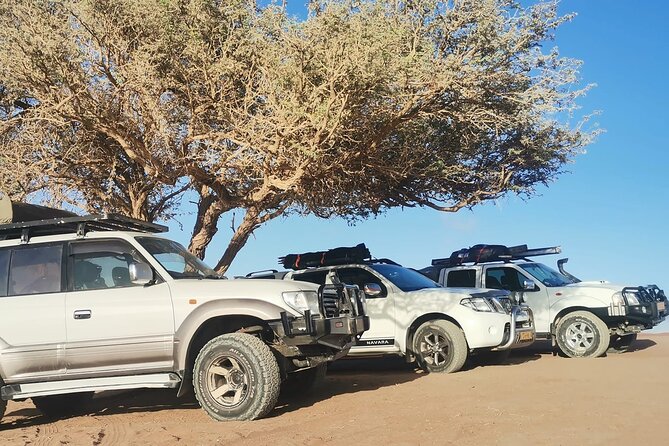 Sandwich Harbour 4X4 Excursion Tour Food and Drinks - A beach picnic with beer and sparkling wine