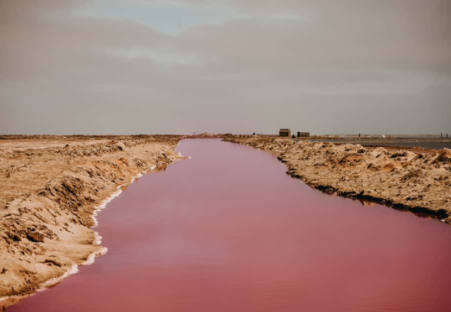 Sandwich Harbour 4x4 Guided Tour - Five details that make this tour worth considering