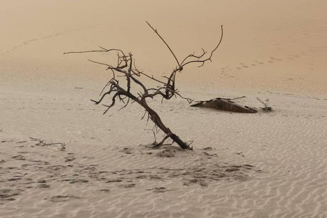 Sandwich Harbour 4x4 guided tours.Join us for an awe inspiring adventure. - Stops for photographs and wide-open views