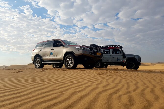 Sandwich Harbour 4x4 Half Day Experience with Beach Braai - Why this Walvis Bay outing works so well