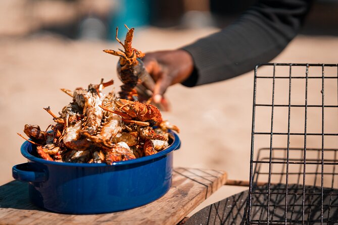 Sandwich Harbour 4x4 Half Day Experience with Beach Braai - The catamaran crossing and marine life