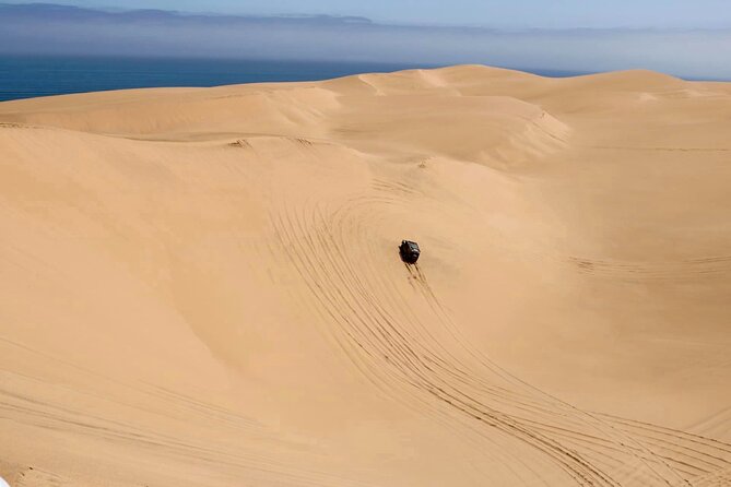 Sandwich Harbour 4x4 Tour - Why Sandwich Harbour is worth the ride