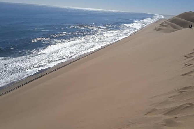 Sandwich Harbour Adventure: Seals and Sandwich harbour dune drive - Six things to know before you book