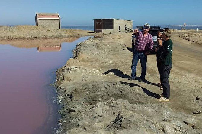 Sandwich Harbour Adventure: Seals and Sandwich harbour dune drive - Why Sandwich Harbour is worth the long day
