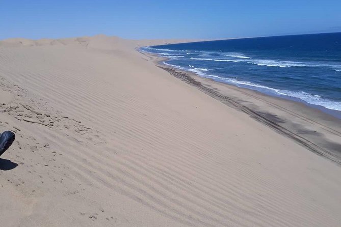 Sandwich harbour and Welwitschia Tour - From Swakopmund to the gravel plains