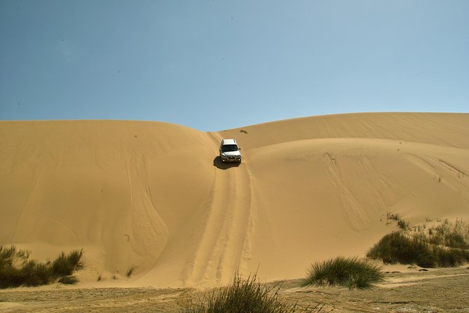 Sandwich Harbour Guided, Self-Drive Tour - Driving a 4x4 through protected desert