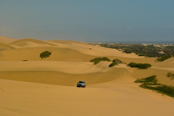 Sandwich Harbour Guided, Self-Drive Tour - The salt refinery and Walvis Bay Lagoon