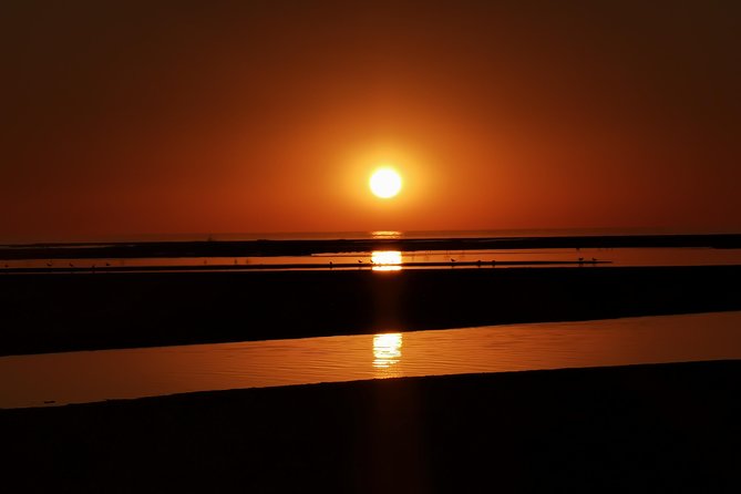 Sandwich Harbour Half Day Excursion - Why Sandwich Harbour feels so different