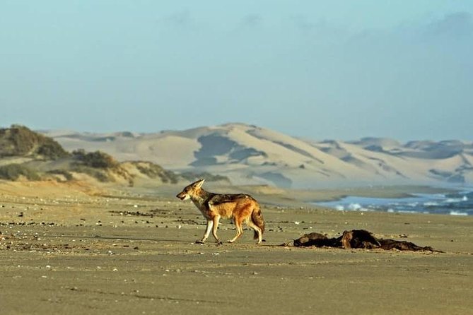 Sandwich Harbour Half Day Scenic Excursion - Crossing the Kuiseb River delta