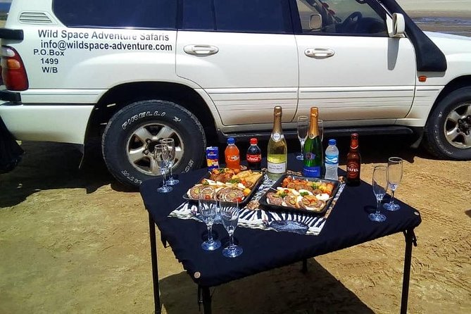 Sandwich Harbour Half Day Scenic Excursion - A picnic lunch with a scenic setting