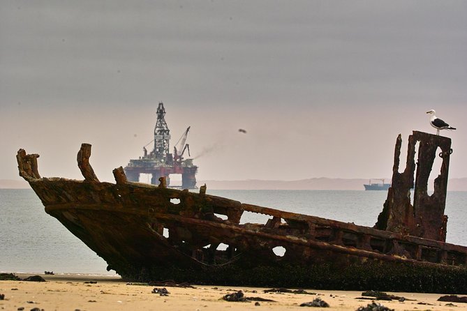 Sandwich Harbour & Pelican Point Full Day Tour - Dorob National Park and the changing scenery