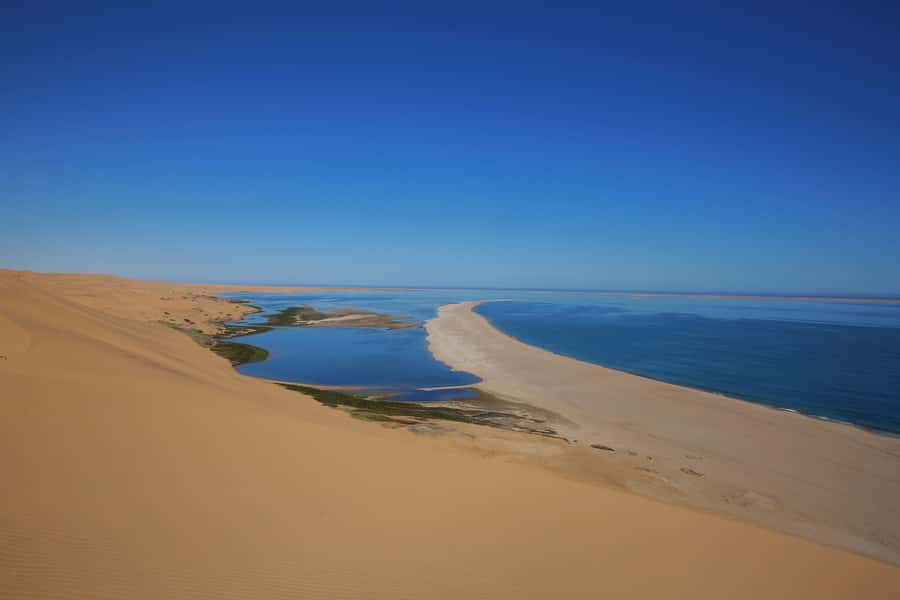 Sandwich Harbour Slow-Travel 4x4: Escapades: Cruise Friendly - Why Sandwich Harbour is worth your half-day