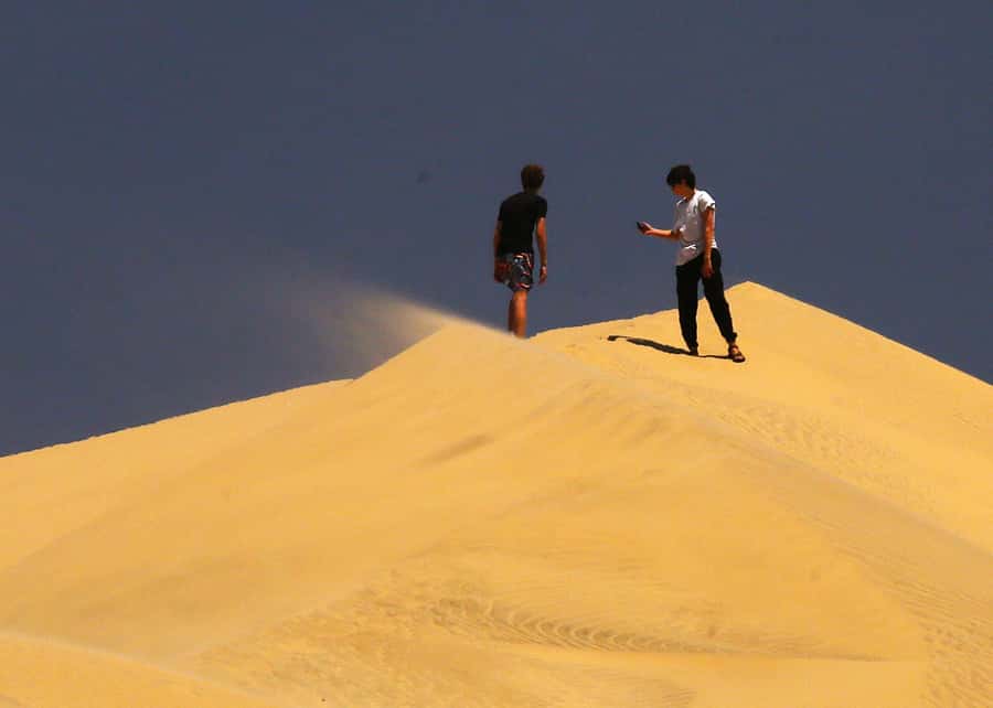 Sandwich Harbour Slow-Travel 4x4: Escapades: Cruise Friendly - Starting in Walvis Bay or Swakopmund