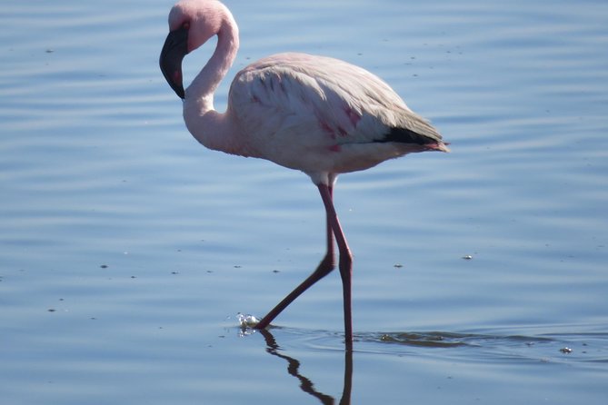 Sandwich Harbour Tour - Pelgrim Tours - Comfort, fitness, and the small print